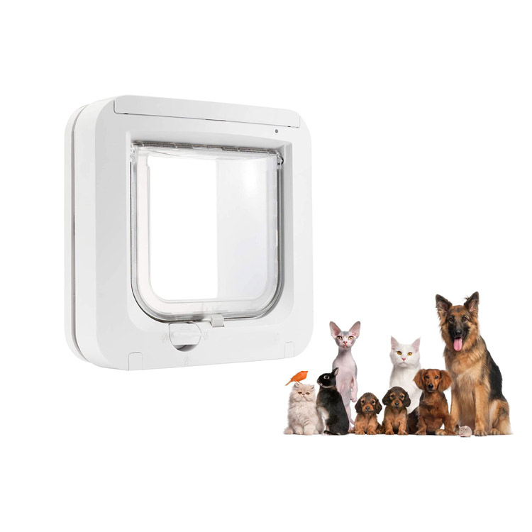 Confira o Microchip Cat Flap de 2021