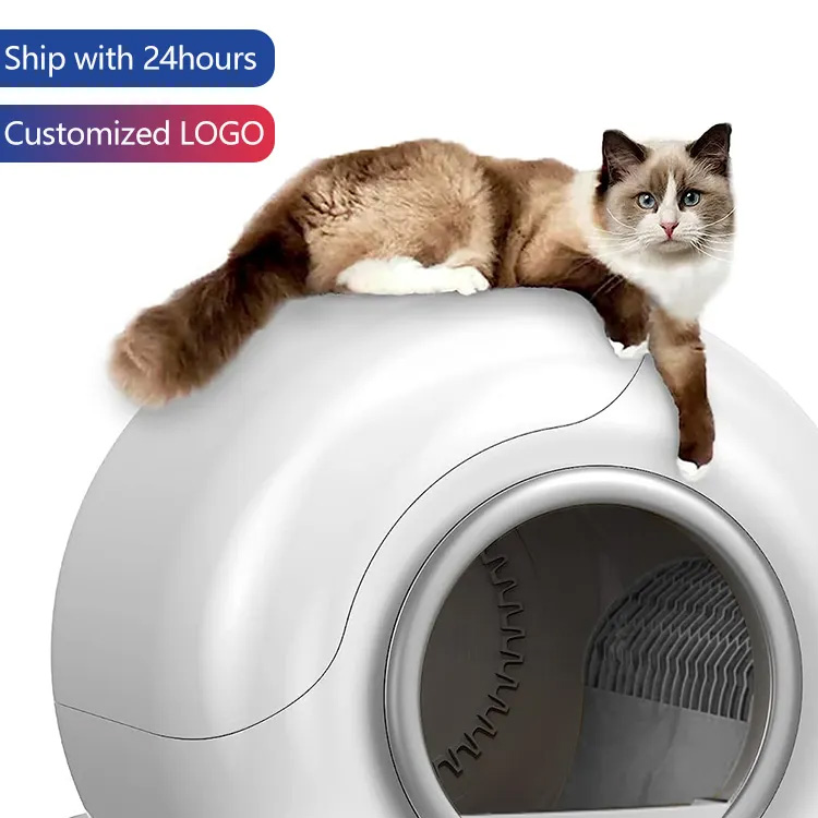 Caixas automáticas de gato de gato controle de aplicativos de aplicativo auto -limpeza caixas de areia