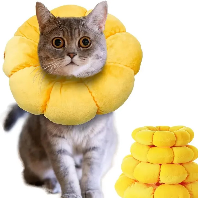 Elizabeth Circle Anti-Licking Protective Collar Recuperação