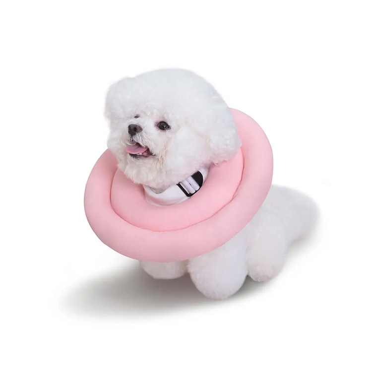 Cão de recuperação Elizabeth Cone Collar Collar Elizabetano Cola de estimação de gato